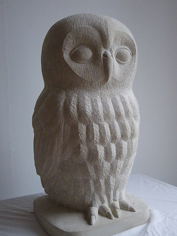 photo of Tawny owl